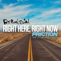 Artwork for Right Here Right Now (Friction One in the Jungle Remix) by Fatboy Slim