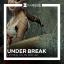 Artwork for Demolition Break