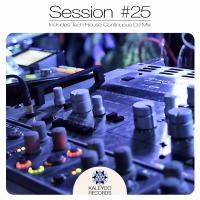Artwork for Kaleydo Records Session #25 by Various Artists