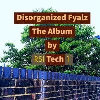 Artwork for Disorganized Fyalz by RSI TECH 1