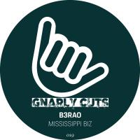 Artwork for Mississippi Biz by B3RAO