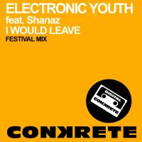 Artwork for I Would Leave (Festival Mix) by Electronic Youth