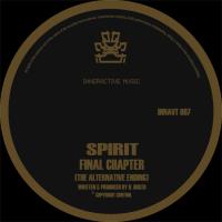 Artwork for Final Chapter (The Alternative Ending) / Raygun VIP by Spirit