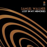 Artwork for Lost In My Memories by Samuel Wallner