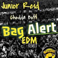 Artwork for Bag Alert (EDM Remix) by Junior Reid