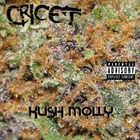 Artwork for Kush Molly by Cricet