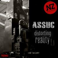 Artwork for Distorting Reality by Assuc