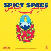 Artwork for Spicy Space, Vol. 1 by Various Artists