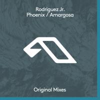 Artwork for Phoenix / Amargosa by Rodriguez Jr.