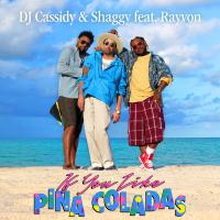 Artwork for If You Like Pina Coladas (feat. Rayvon) by DJ Cassidy