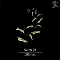 Artwork for Different by Carles Dj