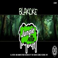 Artwork for Jungle Or Feed by Blakoke