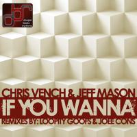 Artwork for If You Wanna by Chris Vench