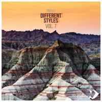 Artwork for Different Styles Vol.7 by Various Artists