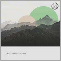 Artwork for Turbo Gym by Shosho