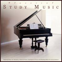 Study Music Solitude