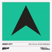 Artwork for Big Fun by Inner City