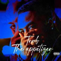 Artwork for The Appetizer by Trub