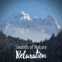 Artwork for Sounds of Nature Relaxation by Sounds of Nature Relaxation