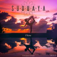 Artwork for Flow (Extended Version) by Suduaya