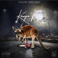 Artwork for Kanga Ru by Flamez