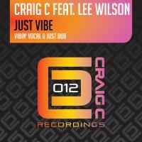 Artwork for Just Vibe by Craig C