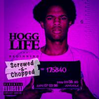 Artwork for Hogg Life: The Beginning (Screwed & Chopped) by Slim Thug