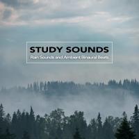 Artwork for Study Sounds: Rain Sounds and Ambient Binaural Beats, Study Alpha Waves, Isochronic Tones and Music For Brainwave Entrainment and Deep Focus and Concentration by Binaural Beats Sleep