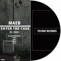 Artwork for Enter The Cage by Maeb