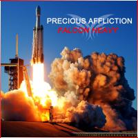 Artwork for Falcon Heavy by Precious Affliction