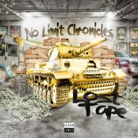 Artwork for No Limit Chronicles: The Lost Tape by Master P