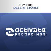 Artwork for Desert Storm by Tom Exo