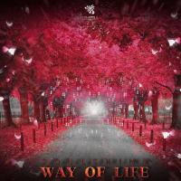 Artwork for Way of Life by Soul Shine