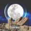 Artwork for 256 Years (Original Mix)