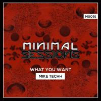 Artwork for What You Want by Mike Techh