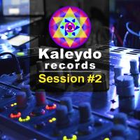 Artwork for Kaleydo Records Session #2 by Various Artists