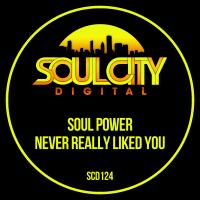 Artwork for Never Really Liked You by Soul Power