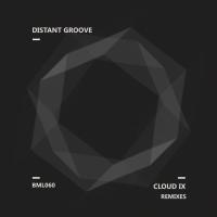 Distant Groove