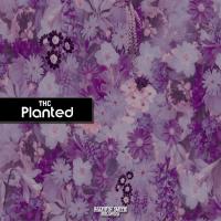 Artwork for Planted by THC