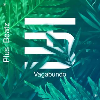 Artwork for Vagabundo (Original Mix)