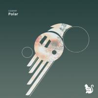 Artwork for Polar by coaxer