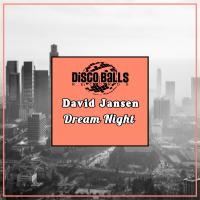 Artwork for Dream Night by David Jansen