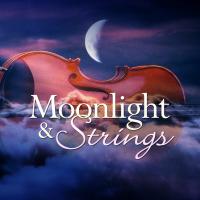 Artwork for Moonlight & Strings (feat. Pietro Dero) by 101 Strings Orchestra