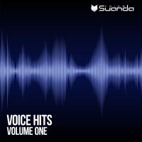 Artwork for Voice Hits, Vol. 1 by Various Artists