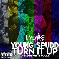 Artwork for Turn It Up by Young Spudd