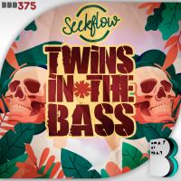 Artwork for Twins In The Bass by Seekflow