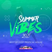 Artwork for Summer Vibes 2021: Best of Deep Tropical House by Various Artists