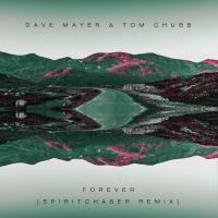 Artwork for Forever by Dave Mayer