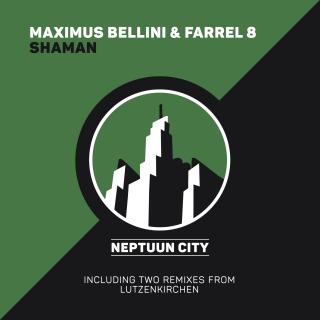 Artwork for Shaman