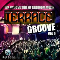 Artwork for Terrace Groove Vol 9 by Various Artists